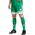 Spodenki męskie adidas Squadra 25 zielone JN7482 2XL
