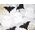 Party Deco Serwetki Nietoperz - 32 cm - 20 szt. uniwersalny