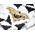 Party Deco Serwetki Nietoperz - 32 cm - 20 szt. uniwersalny