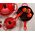 le creuset Le Creuset Signature Cast Iron Pan 23cm ovenred (20182230900422)