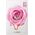 theSaem The SAEM Natural Mask Sheet Maska na tkaninie - Rose 21ml
