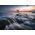 Φακός Venus Optics Laowa CF 8-16 mm f/3,5-5 C-Dreamer για Sony E