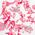 SEMILAC Νιφάδες Λουλουδιών Coral Blossom
