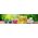 TOILET PAPER GRITE ECOLOGICAL, 24 PCS.