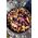 Patelnia Trangia Frypan 24T