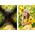 Filtr Hybrydowy 3w1 K&f 40.5 Mm 40.5mm Fader Nd2-32 + Cpl + Black Diffusion 1/4 / Kf01.2059