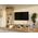 RTV Malwa 140 ARTISAN BIEL