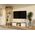 RTV Malwa 120 ARTISAN BIEL