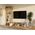 RTV Malwa 120 ARTISAN BIEL