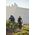 Vaude Trailfront II rod bag