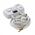 Diamond sterownik pompy C.O. 230V ST-01