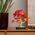 Botanicals Klon palmowy bonsai (10348)