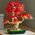 Botanicals Klon palmowy bonsai (10348)