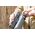 Bresser Wave 10x42