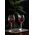 ALKEMIST APERITIF GOBLET