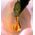 Christian Dior, Prestige La Micro-Huile De Rose, Repairing, Serum, For Face, 75 ml For Women