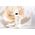 Christian Dior, Prestige Light-In-White, Illuminating, Serum, For Face, 30 ml For Women