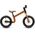 Balansinis dviratis EARLY RIDER SuperPly Bonsai 12