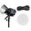 Zhiyun LED Molus B300 Cob Light