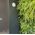 GRILLE VENTILATION D125 WHITE