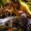 GSI Outdoors Zestaw do gotowania GSI Outdoors Glacier Minimalist Uniwersalny