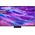 televizorius Samsung 75"