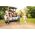 Mepal Butelka Pop-up Campus 400ml Sailors Bay 107410065244