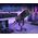 Mikrofon dynamiczny studyjny Fifine AM8 AMPLIGAME USB/XLR RGB gamingowy PnP
