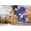 WIERTŁO FORSTNERA Expert Wood Set 5 pc