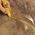 ΜΠΟΓΙΑ ΣΤΙΚ Markal B PAINTSTIK ΛΕΥΚΟ 17MM