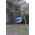 Moonbeam Headlamp, Blue