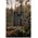 Focus Outdoor II 12x50