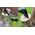 Davaon Pro 46cm Log Splitting Axe