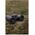 Focus Outdoor II 10x50