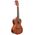 Kala KA-CE Mahogany Concert Ukulele