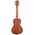 Kala KA-CE Mahogany Concert Ukulele