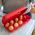 Δοχείο για αυγά EGGS TO GO, για 10 αυγά, KOZIOL