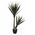 Τεχνητή γιούκα σε γλάστρα YUCCA, ύψος 130 εκ.