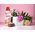 Płyn do płukania Lenor Magic Orchid 1l