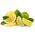 PASSION GOLD Płyn do mycia naczyń Lemon & Lime 850 ml