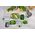 ΔΟΧΕΙΟ ΤΡΟΦΙΜΩΝ EASYCLIP 450 ML NORDIC WHITE 106154032500