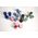 ΔΟΧΕΙΟ ΦΑΓΗΤΟΥ ELLIPSE MINI VIVID BLUE 107650010100