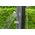 Bestway Prysznic Ogrodowy Basenowy Solarny 35 L 58696