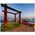 IMPREG HK-LASUR 3IN1 TEAK RC-545 0.75L