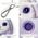 Etui na lokalizator / brelok Nimmy Big   Eyed Pet 2.0 Rabbit fioletowy