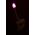Lampka wtykowa do gniazdka ATL ZD68 Lampka led do WC czujnik ruchu