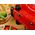 Piec do pizzy Fun Pizza&Co Mamma Mia Vista Cecotec średnica 32 cm Czerwony