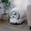 Cecotec Pumba 7000 CleanKitty Compact Connected Inteligentna kuweta