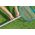 Siatka Do Czyszczenia Basenu Bestway 58659