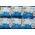 ML Epson T0801 zamiennik (T080140)